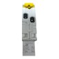 SCHNEIDER ELECTRIC A9P24606 Acti9 iDT40N Disjoncteur modulaire 1P+N 6A courbe C SCHNEIDER ELECTRIC A9P24606 Acti9 iDT40N Disjoncteur modulaire 1P+N 6A courbe C
