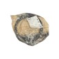SICK YF8U13-050UA1XLEAX/ 2094788 CABLE DE CONNEXION