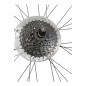 WTB SX19 29" ETRTO 19-622+ SUNRACE 12T+ SCHWALBE ROCKET RICK ROUE DE VELO