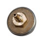 TUTTNAUER PRESSIONGP600 ATS-460200092 PRESSOSTAT POUR LAVEUR ET AUTOCLAVE