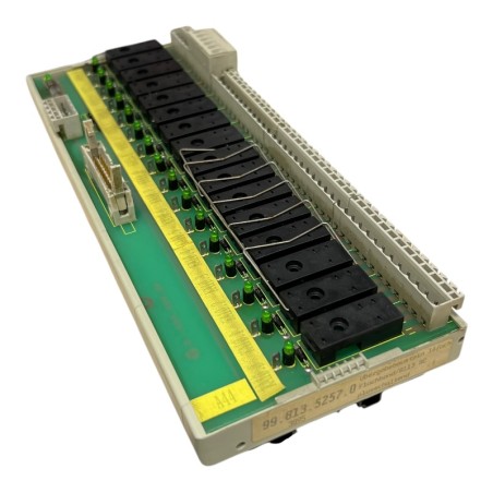 WIELAND 99.813.5257.0 Module relais 16 sorties SANS RELAIS